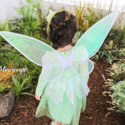 Mini Recipe Fairy Wings