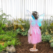 Mini Recipe Fairy Wings