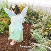 Mini Recipe Fairy Wings