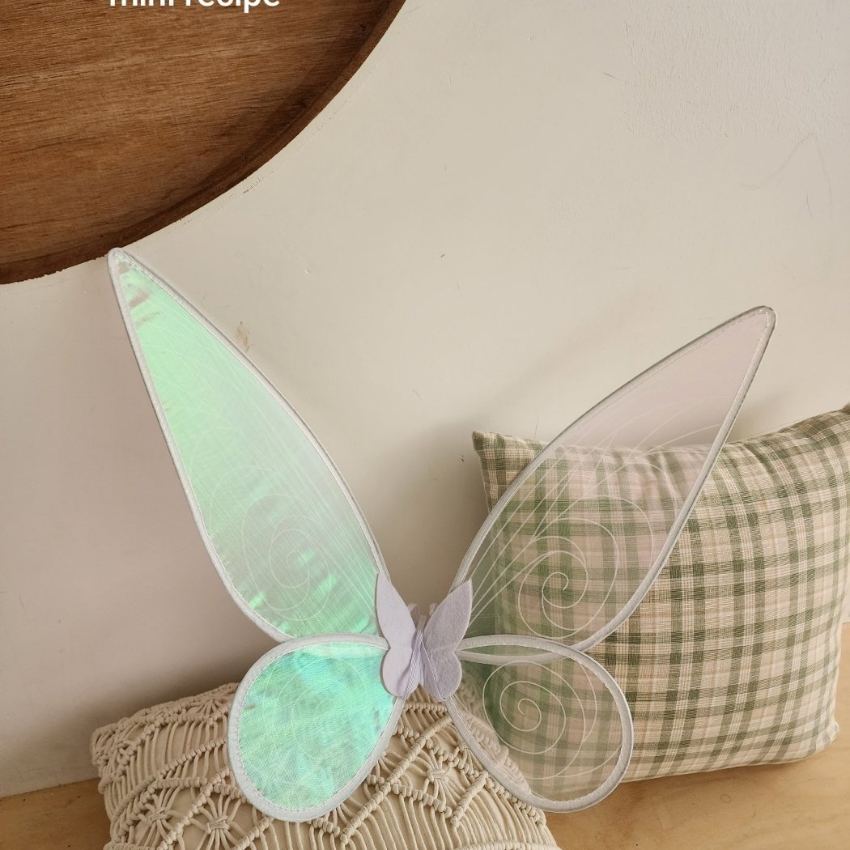 Mini Recipe Fairy Wings