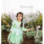 Mini Recipe Twinker Bell Fairy Dress