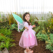 Mini Recipe Twinker Bell Fairy Dress